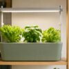 Luz LED de espectro completo iluminando lechugas y albahaca en un cultivo hidropónico doméstico