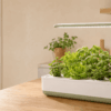 mejores kits de hidroponía para casa