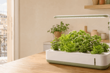 mejores kits de hidroponía para casa