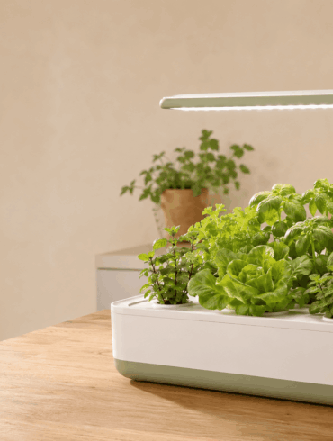 mejores kits de hidroponía para casa