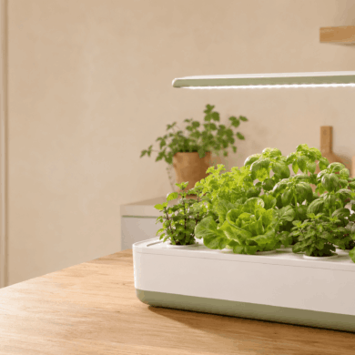 mejores kits de hidroponía para casa