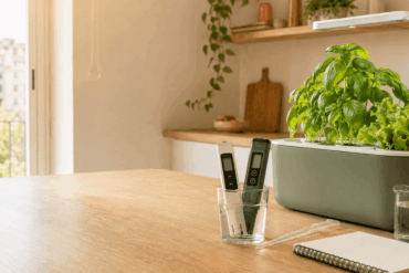 Medición del pH y la EC en una solución nutritiva para hidroponía doméstica