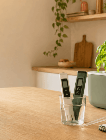 Medición del pH y la EC en una solución nutritiva para hidroponía doméstica